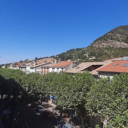 Hotel Central Digne-les-Bains Eksteriør billede